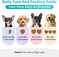 Dog Skin & Allergy Chews - Dog Probiotics for Sensitive Skin Health Support - Allergy Relief - Support Seasonal Allergies, Immune & Gut & Digestive Health Supplement - Chicken Flavor - 90 Count