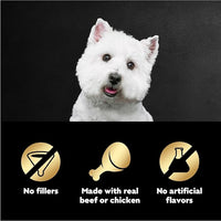 Cesar Filets in Gravy Wet Dog Food Filet Mignon Flavor and Rotisserie Chicken Flavor Variety Pack, 1.76 oz. Mini-Pouches (20 Count, Pack of 2)
