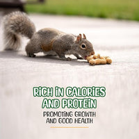 Premium Quality- 25 Pound Raw Peanuts in Shell – All-Natural Food for Squirrels, Deer, Birds, and Other Wildlife Animals – Bulk Wholesale Bag – Grown in The USA for Healthy Nutrition