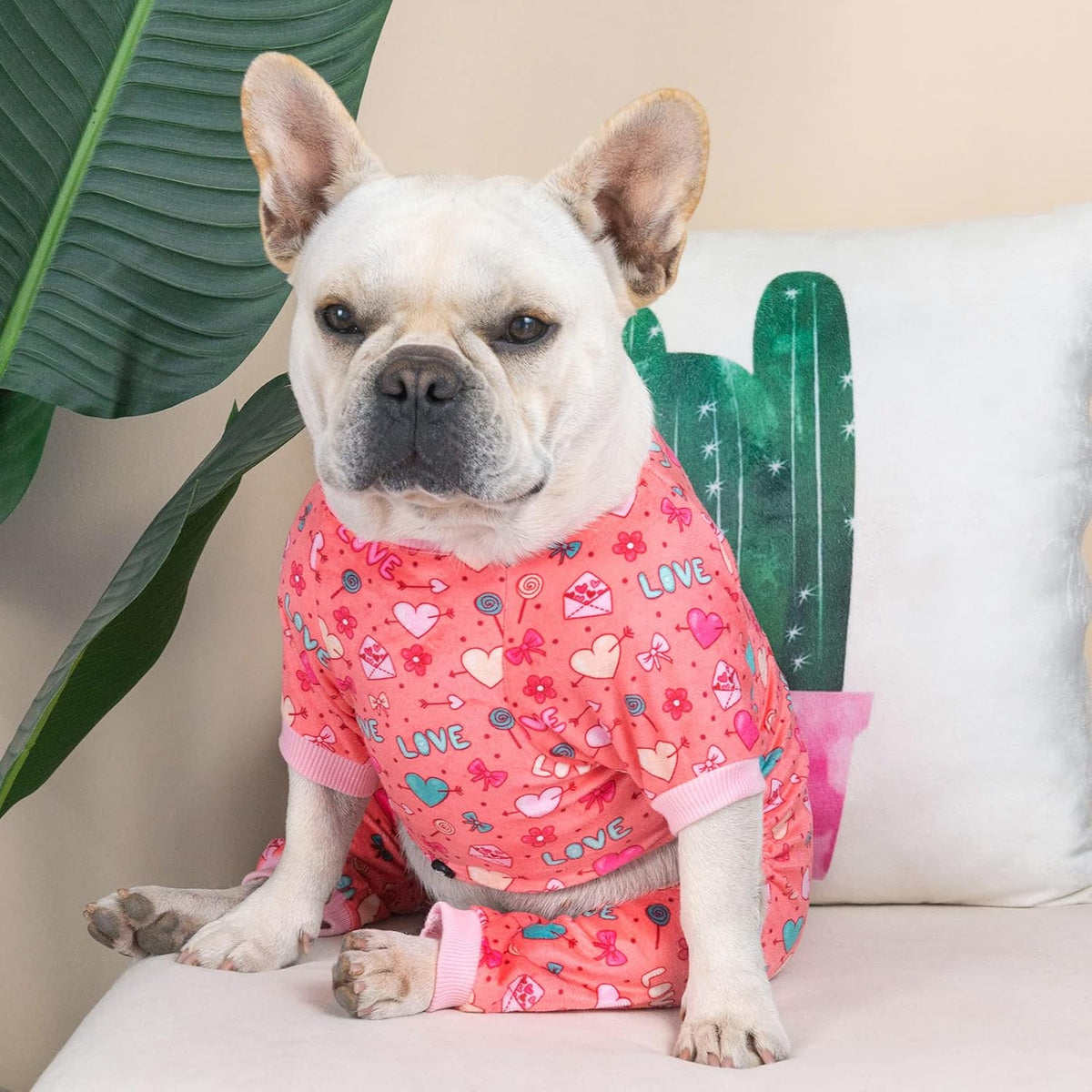 CuteBone Dog Halloween Pajamas Puppy Onesies Small Dogs Soft Pjs Coat - Medium / Cupid pink - image 4