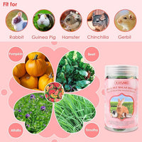 KATUMO Rabbit Chew Toys, 200g / 7oz Mixed Natural Timothy Hay Beet Pumpkin Carrot Chew Toys and Treats for Hamster, Chinchilla, Guinea Pig, Rabbit, Small Animals Molar Snacks
