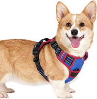rabbitgoo Dog Harness for Large - Blue & Red / Small