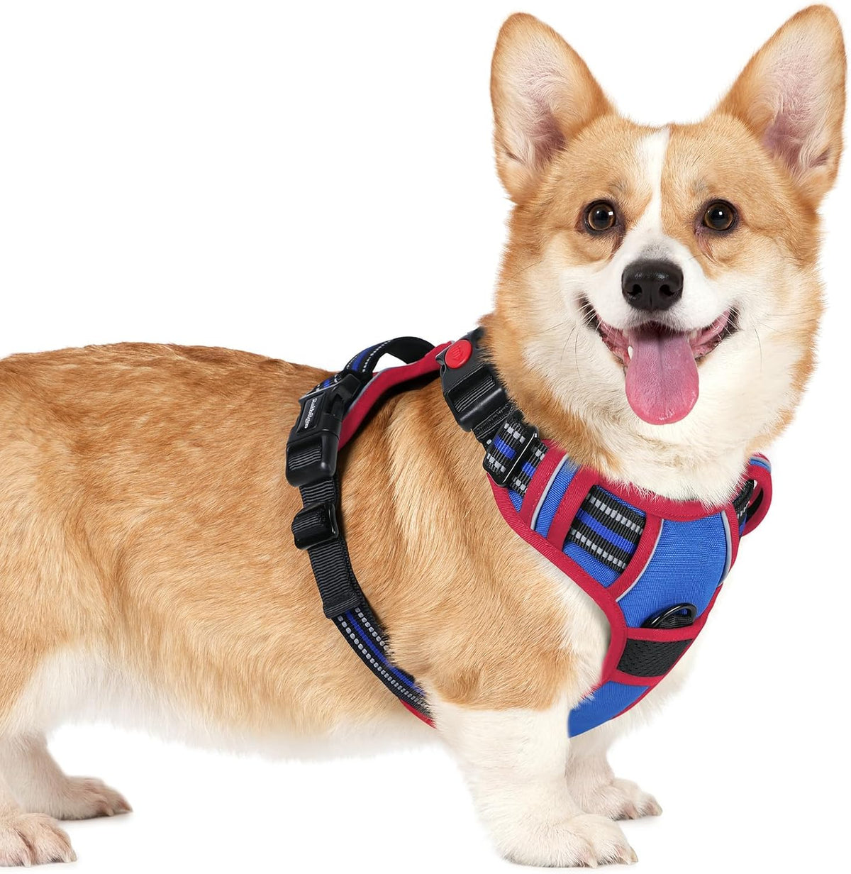 rabbitgoo Dog Harness for Large - Blue & Red / Small