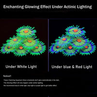 ZtohPyo Glow Fish Tank Decorations - Green - image 3