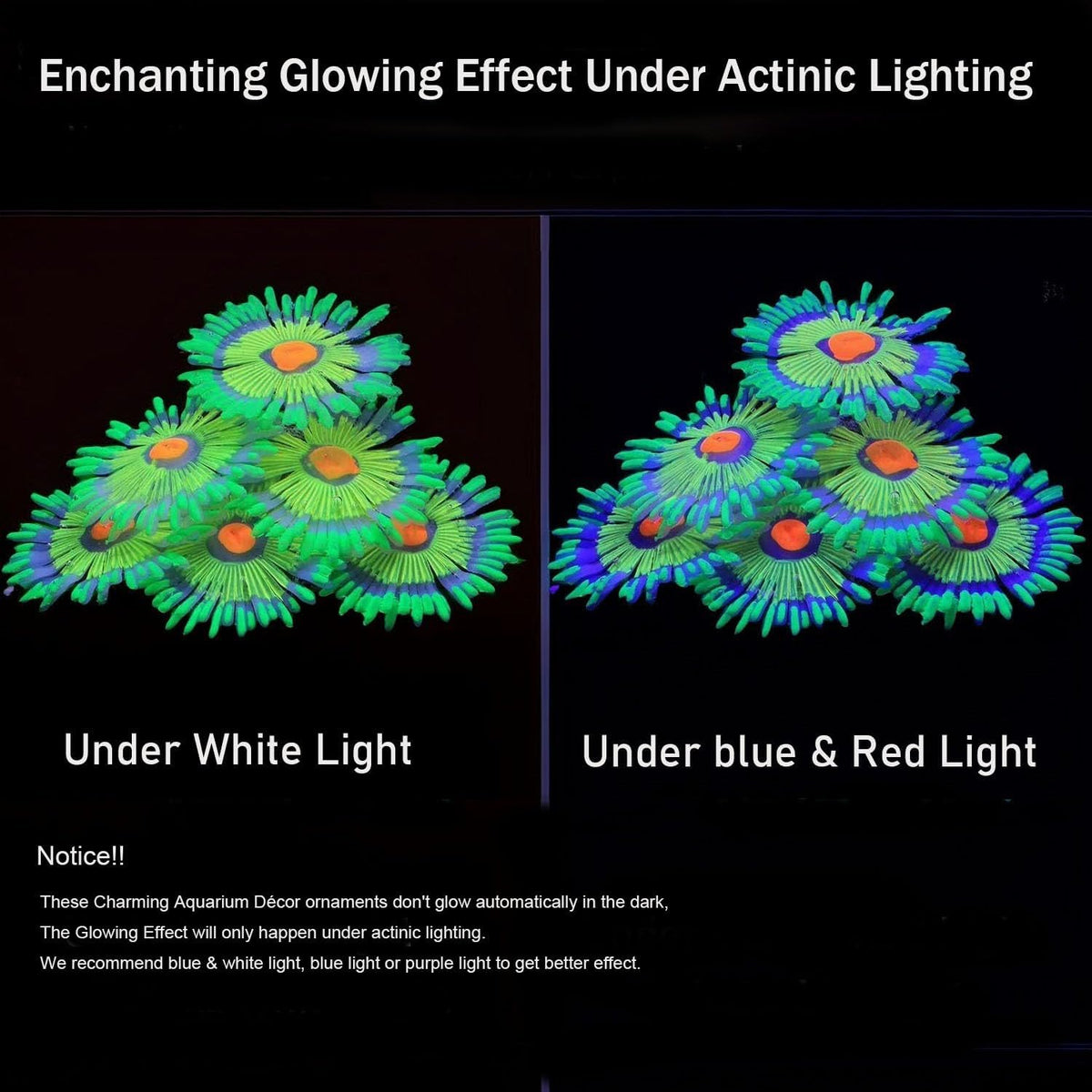 ZtohPyo Glow Fish Tank Decorations - Green - image 3