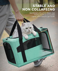 Pecute Cat Carrier Stable, Pet Carrier with Privacy Partition - Light Green / 16.9"L x 11.0"W x 11.0"H - image 2