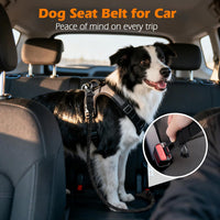 Dog Seat Belt for Car, Durable Rope Dog Car Harness for Vehicle – Essentials for Dogs - Black / 1 Pack - image 3