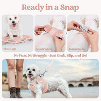 rabbitgoo Dog Harness Small Sized and Leash Set, Step in Soft Light Puppy Vest, Breathable Mesh Pet Harness, Reflective for Outdoor Safe Walking, Pink XL