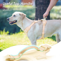 Sunraymascota No Pull Dog Harness for Medium Sized Dogs Puppy Vest - Light Yellow / L(Neck:20.9-31.5", Chest:24.8-37.4") - image 4