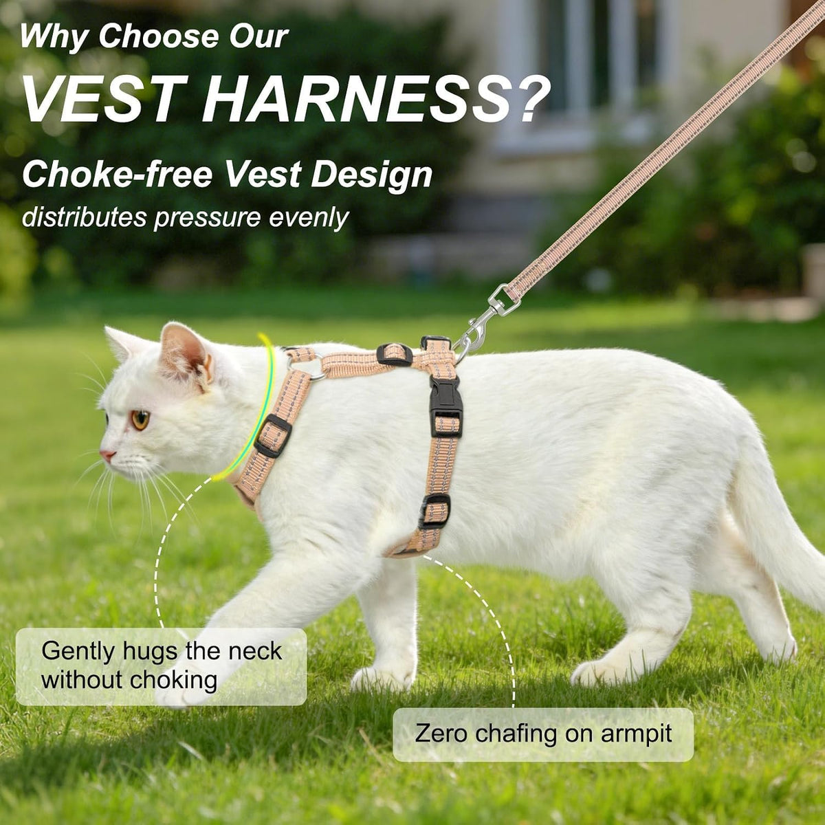 Cat Harness and Leash Set, Escape Proof and Adjustable - Beige / S (Chest: 11 - 16") - image 2