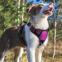 rabbitgoo Dog Harness Medium Sized, No Pull Dog Vest with 3 Buckles, Adjustable Soft Padded Pet Harness with Easy Control Handle and Reflective Strips, Purple, M
