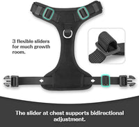 No Pull Dog Harness for Small Medium Large Dogs - Adjustable Two-Layer Mesh Dog Vest with Dual Clip, Escape Proof, Quick Release, Lightweight Breathable Mesh for Walking Hiking (Black,XL)