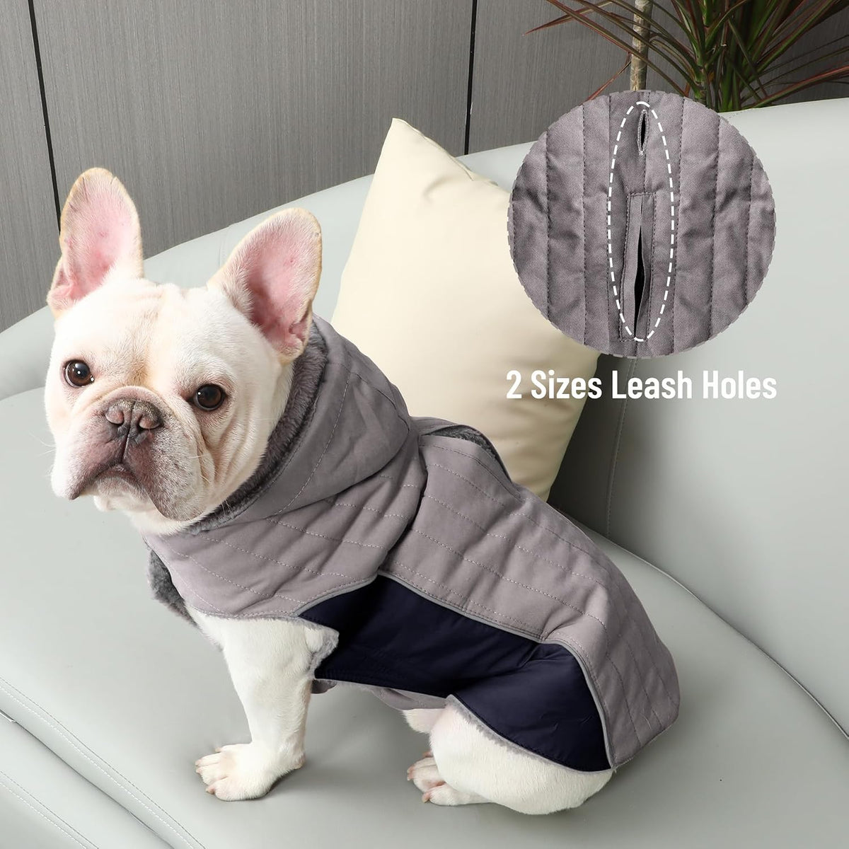Warm Fleece Dog Hoodie for Small Dogs, Winter Puppy Coats - Grey / Small - image 2