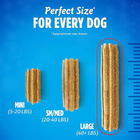 Purina DentaLife Made in USA Facilities Large Dog Dental Chews, Daily - 18 ct. Pouch