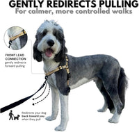 ShawnCo Dream Walk Pro No-Pull Dog Harness – Essentials for Dogs - Medium / Driftwood - image 2