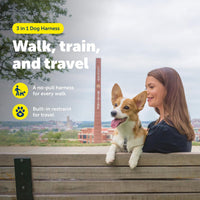 PetSafe 3 in 1 No-Pull Dog Harness, Walk, Train or Travel - Teal / Small (Pack of 1) - image 3