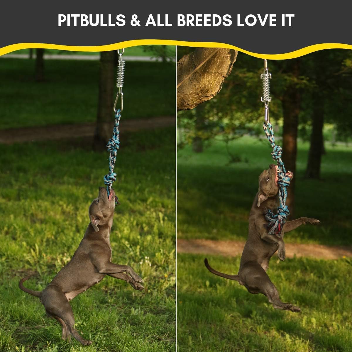 YES4QUALITY Flirt Pole for Dogs - Spring Pole - image 3