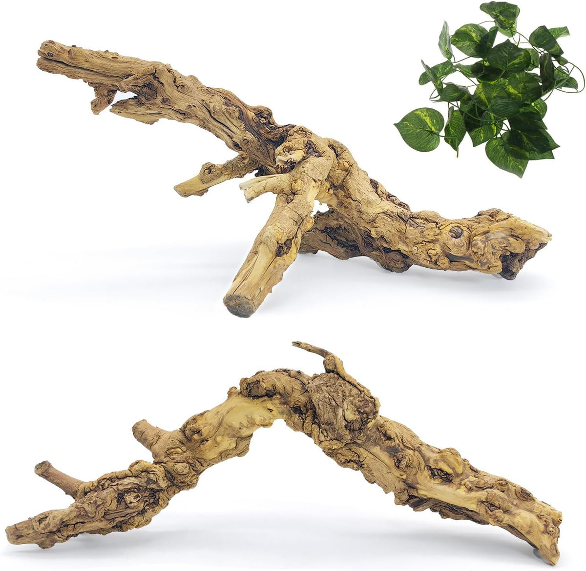 VCEPJH Snake Climbing Branch - Pomegranate Wood (L:13.7"-15.7"-2pcs) / 2