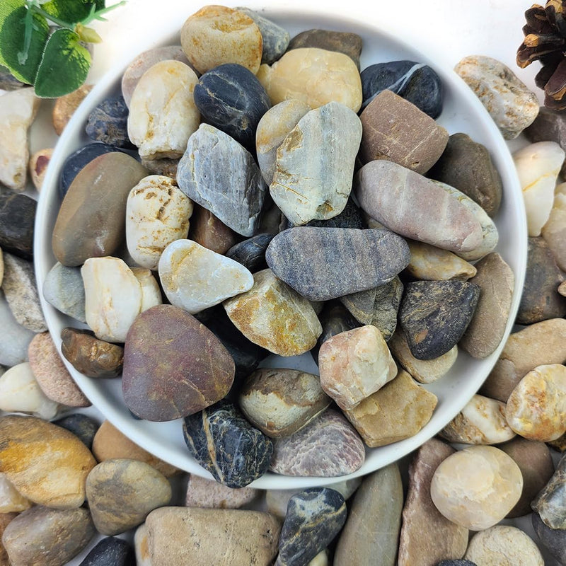 5lbs Aquarium Gravel, 1/4" Fish Tank Gravel Natural River Rocks – Daily Care for Fish - 5 Pounds / 5/8 Inch