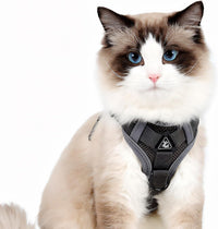 Cat Harness and Leash for Walking - Grey / S : 3.3-6.6 LB