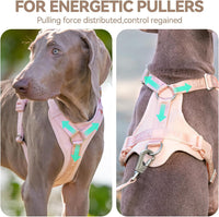 Sunraymascota Dog Harness - M (Neck: 16-26", Chest: 21-31") / Light Pink - image 2