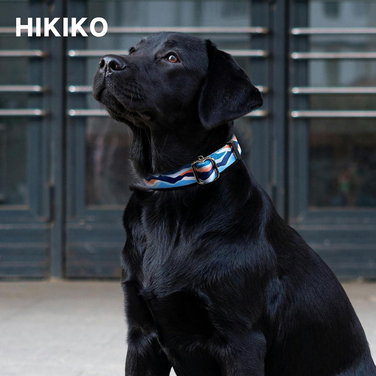 Hikiko Martingale Dog Collar Without Buckle - Blue Mountain / Large - image 3