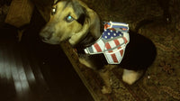 USA Patriotic Star Dog Harness+Leash Set