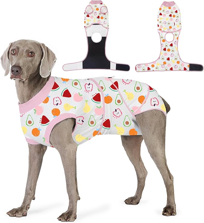 Recovery Suit for Dogs After Surgery, Professional Dog Surgical Suit for Female Spay, Male Neuter, E-Collar & Cone Alternative Dog Onesie for Abdominal Wounds Skin Disease, Fruit, M