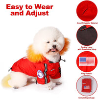 The Dog Face Pet Raincoat - BIG FRENCHIES