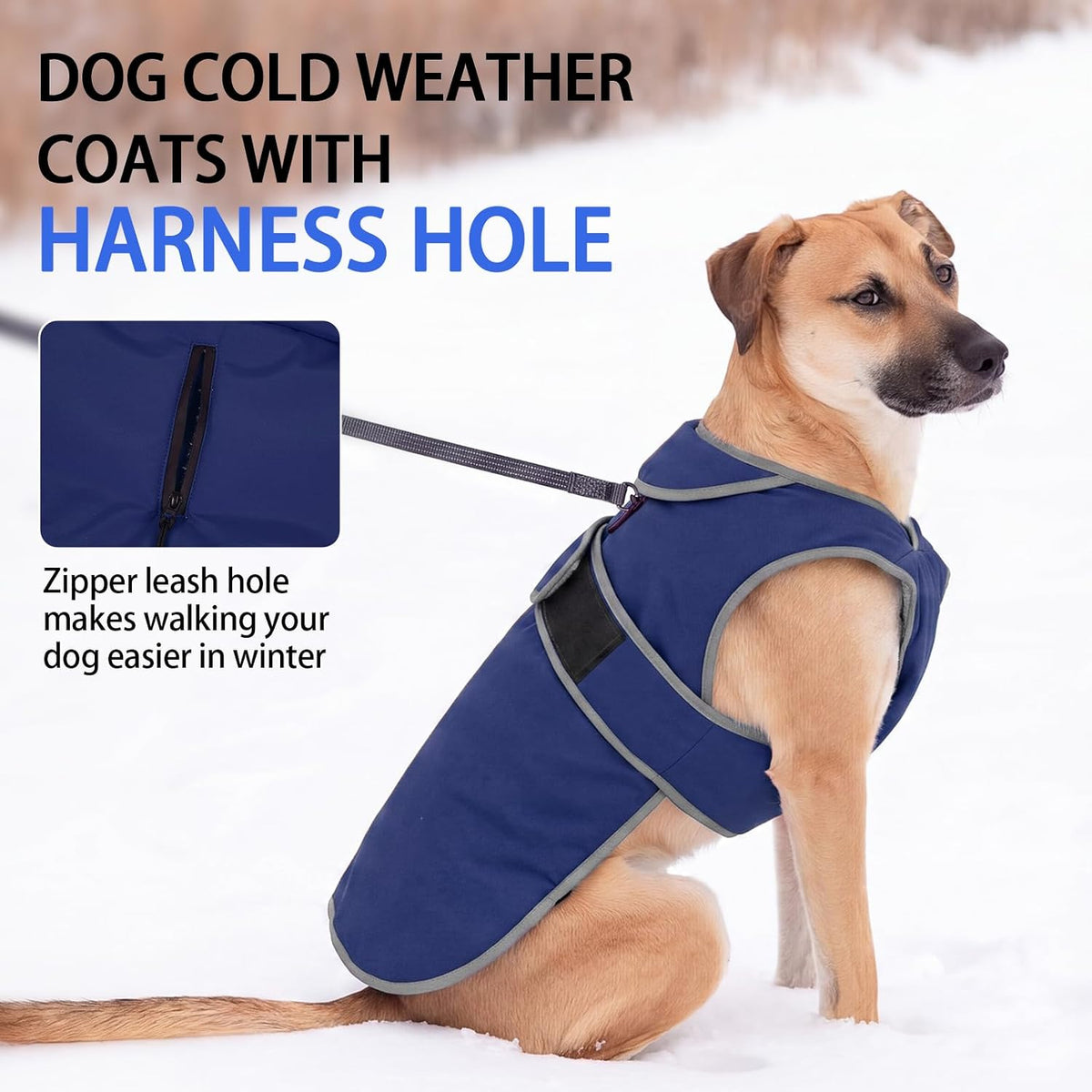 MIGOHI Warm Dog Coat Waterproof Winter Dog Jacket, M - Navy / Medium - image 3