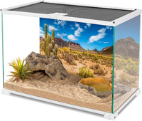 24x12 in Reptile Habitat Background Blue Sky Cactus Desert Tank - 24x12in/60x30cm - image 3
