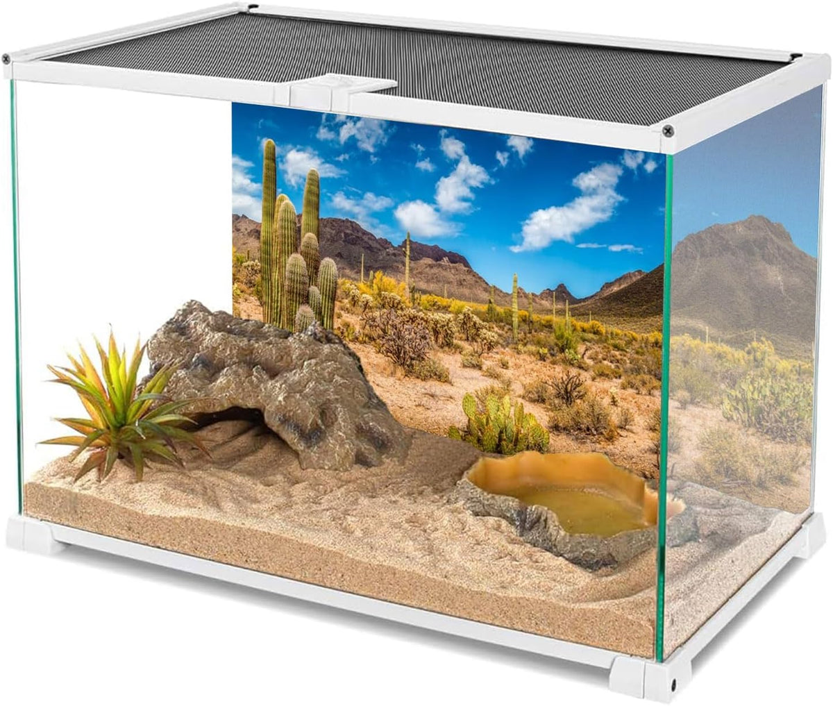 24x12 in Reptile Habitat Background Blue Sky Cactus Desert Tank - 24x12in/60x30cm - image 3