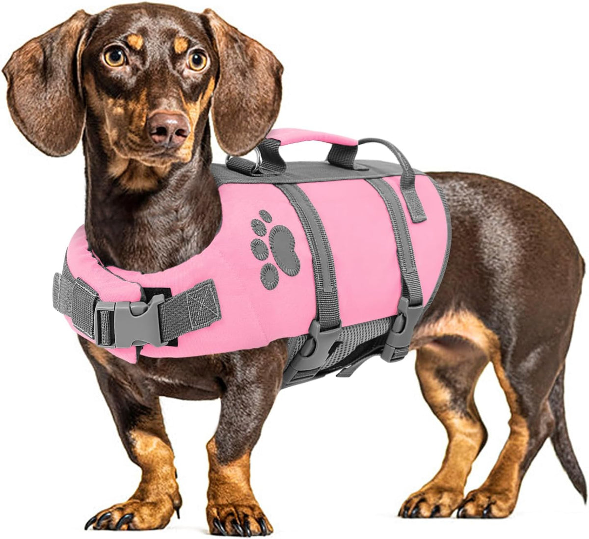 Small Dog Life Jacket, Ripstop Safety Dog Life Vest for Swimming – Essentials for Dogs - Medium / Pink
