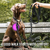 COOYOO 2 Pack Dog Leash 5 FT Heavy Duty - 1/2"x 5 FT (18~120 lbs.) / Set 3-Black+Purple - image 2