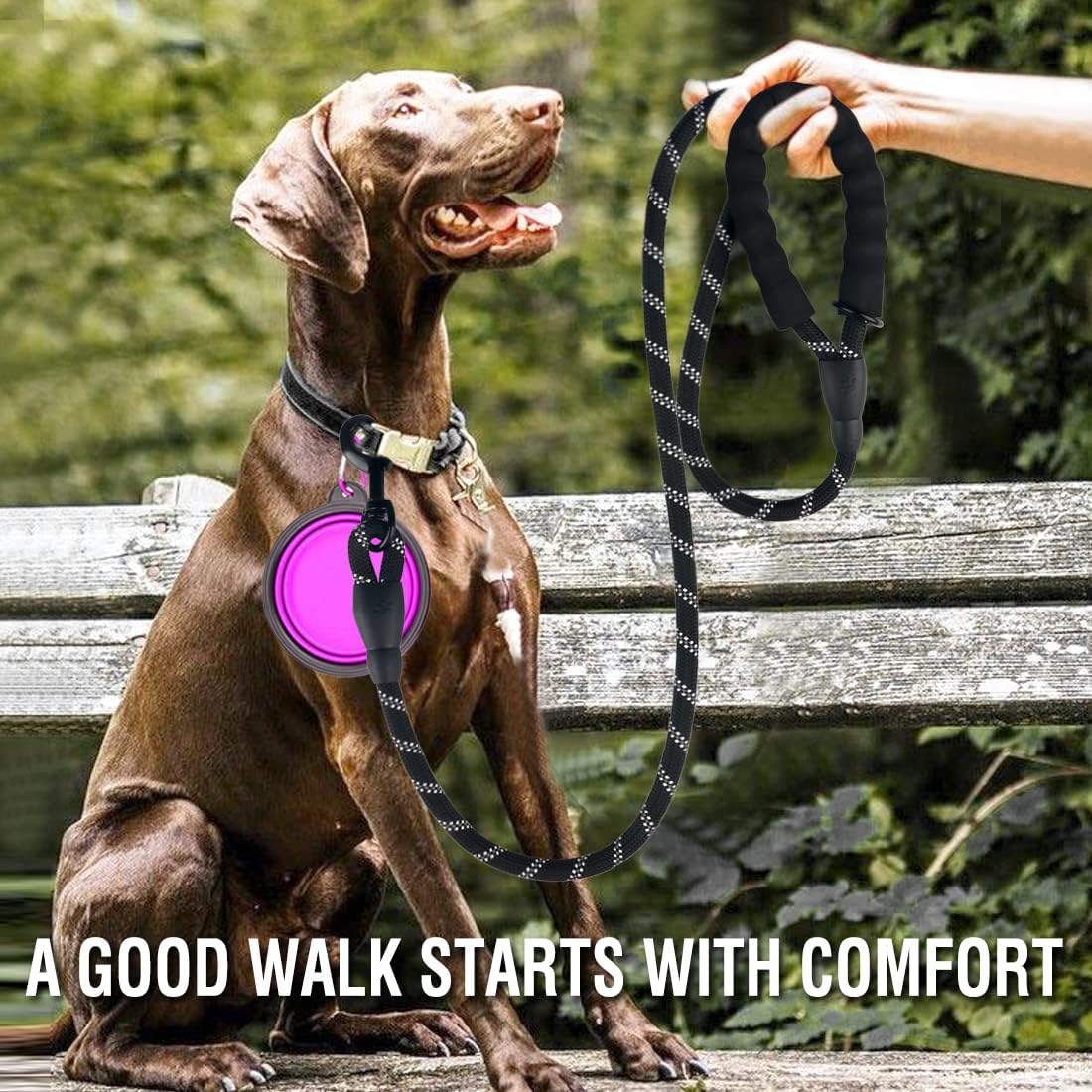 COOYOO 2 Pack Dog Leash 5 FT Heavy Duty - 1/2"x 5 FT (18~120 lbs.) / Set 3-Black+Purple - image 2