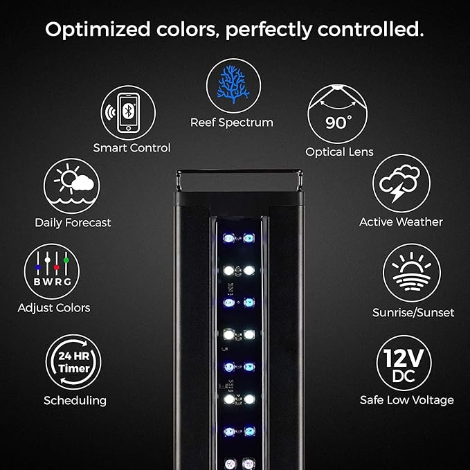 CURRENT USA 72" Inch Orbit Marine IC LOOP LED Saltwater Reef Marine Aquarium Light with Bluetooth App Control | Wireless Lighting & eFlux Wave Pump Control for Fish Tank (4208)