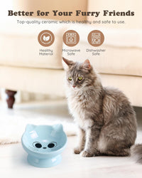 Raised Cat Food Bowl Ceramic 15° Tilted Cat Food Bowls Protect Cat's - FaceBlue-1P / 1 - image 2