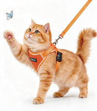 Cat Harness and Leash for Walking - Orange / S (7-12lb)