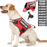 Service Dog Vest Harness and Leash Set+10 Patches - Large / Red