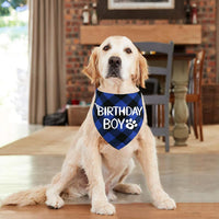 Dog Birthday Bandana – Premium Cotton Birthday Boy Bandana for Dogs - BIG FRENCHIES