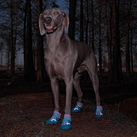 Dog Shoes, Waterproof Dog Boots & Paw Protectors with Anti-Slip Sole, 4pcs/Set Pet Dog Booties, Reflective Dog Shoes for Small Medium Large, Winter Snowy Summer Hot Pavement (Blue, 5# (M))