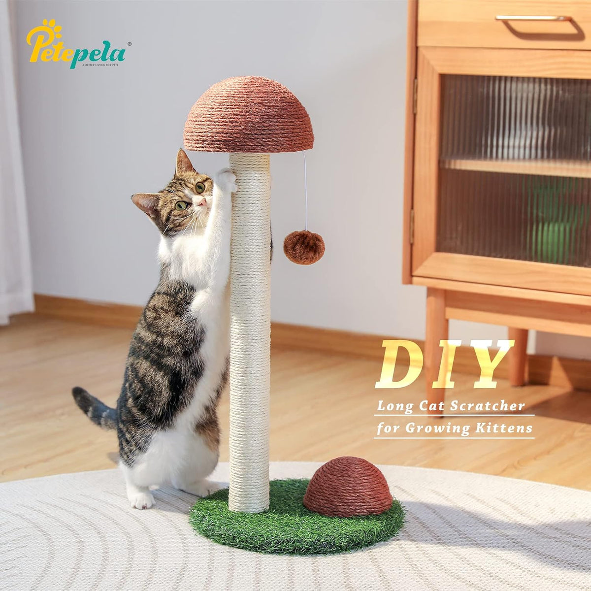 PETEPELA Mushroom Cat Scratching Post for Kittens & Small Cats - Mushroom Brown / 18.9" - image 4
