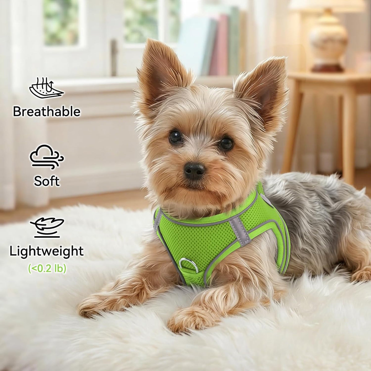 Joytale Step-in Dog Harness, Soft Breathable Mesh, Black S – Essentials for Dogs - S--Chest: 15-16.5'' / Green - image 4