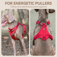 Sunraymascota Dog Harness - S (Neck: 12-22", Chest: 16-25") / Burgundy Red - image 2