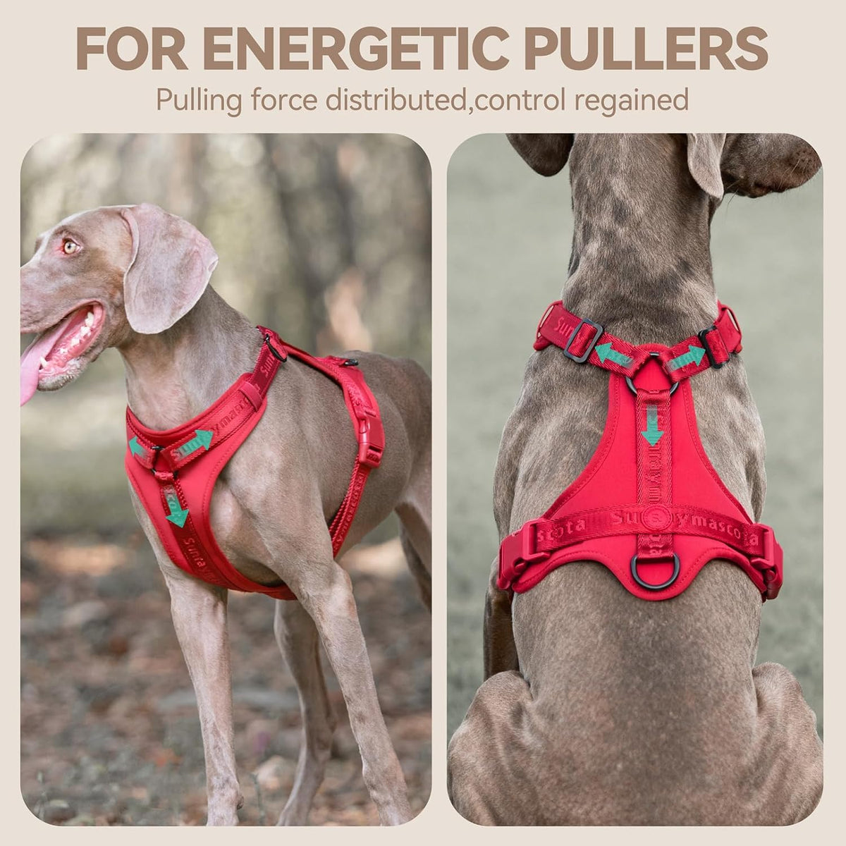 Sunraymascota Dog Harness - S (Neck: 12-22", Chest: 16-25") / Burgundy Red - image 2