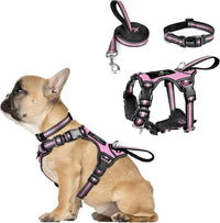 WINSEE Pet Harness Collar and Leash Set - Small / Pink