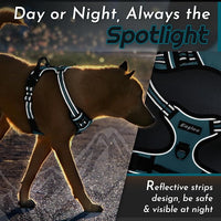 Eagloo Dog Harness Medium Sized Dog, No Pull Service Vest with Reflective Strips and Control Handle, Adjustable and Comfortable for Easy Walking, No Choke Pet Harness with 2 Metal Rings, Dark Green, M