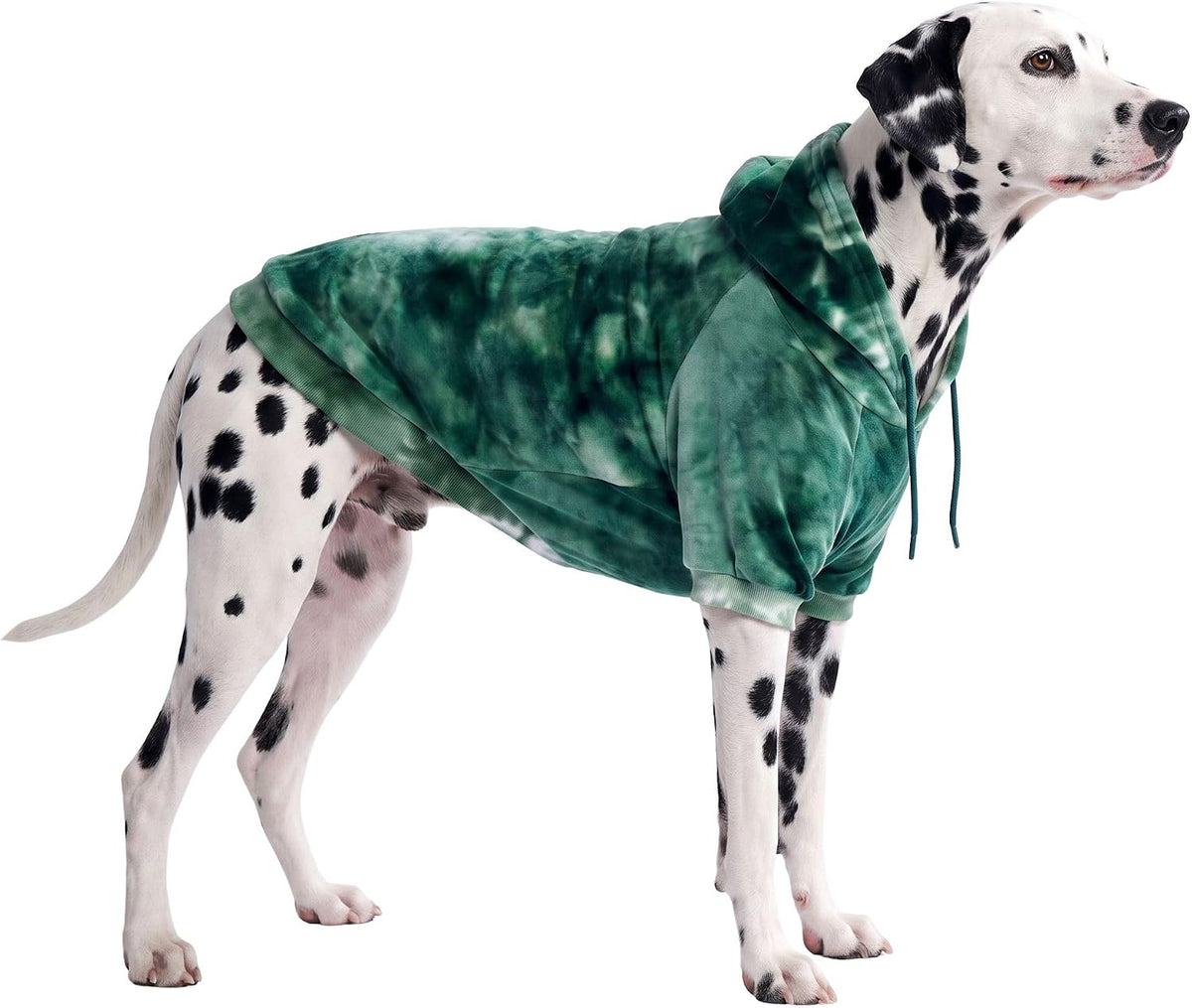 Spark Paws Dog Hoodie, Buttery-Soft Sweater Sweatshirt - Green Skydye / 4XL