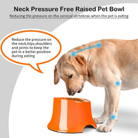 Tilted Elevated Dog Bowls Non-Slip & Non-Spill Pet Feeder - M/2 Cup / Orange - image 2
