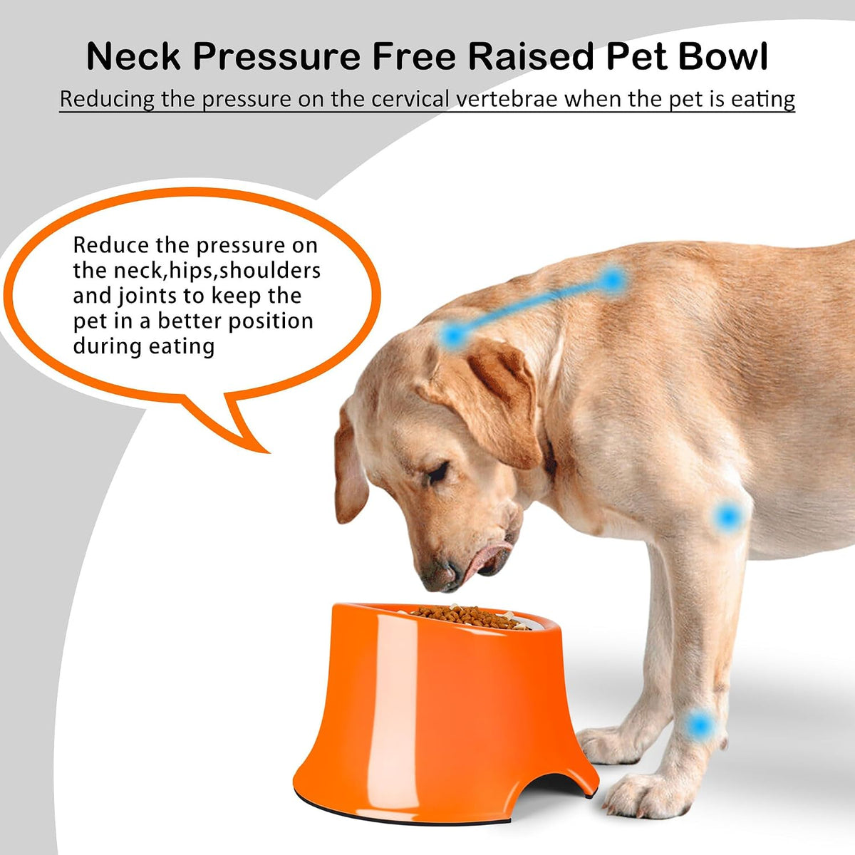 Tilted Elevated Dog Bowls Non-Slip & Non-Spill Pet Feeder - M/2 Cup / Orange - image 2